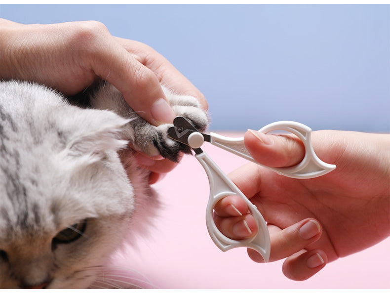 Cats/Dogs Wool Pet Hair Deshedding Brush Set Comb