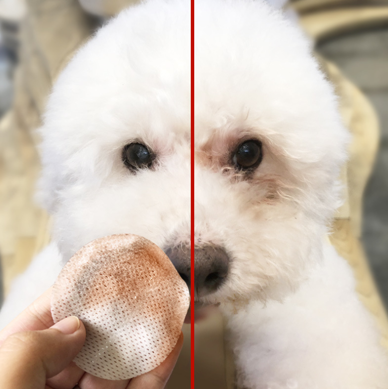 Pet tear wipes Teddy Bear Xiong Bomei cat eye stain cleaning tissues