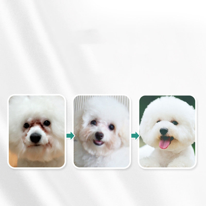 Pet eye maintenance and hygiene for dogs and cats